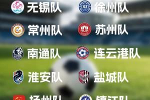  队徽边踢边改！无锡队、苏州队调整队徽！你最喜欢哪一个？